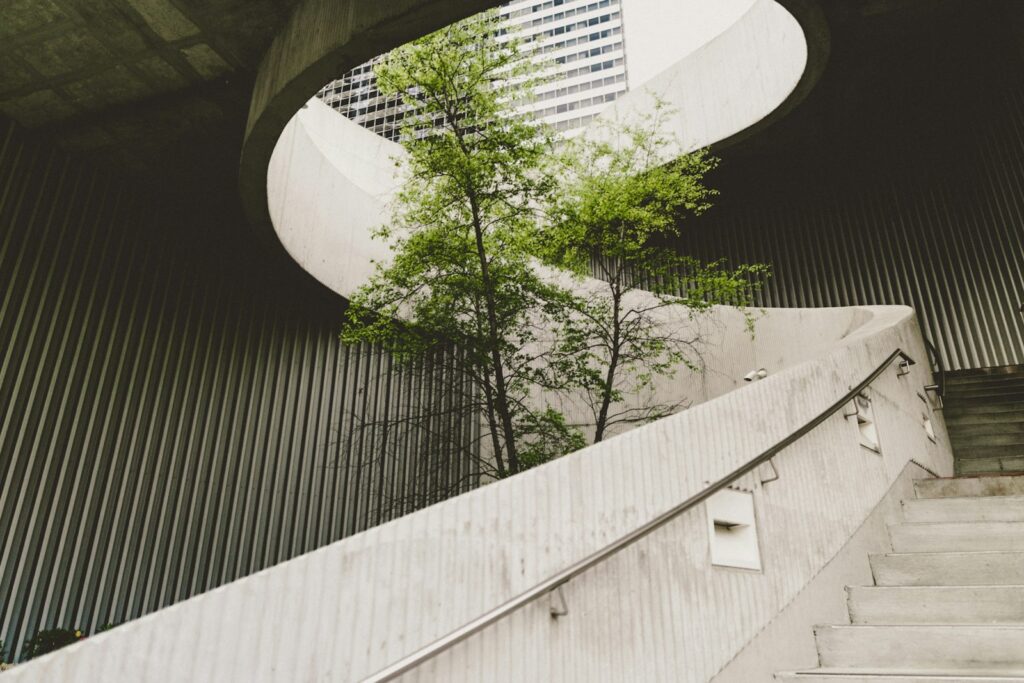 Concrete stairwell spiraling around a central tree, blending architectural structure with natural growth to embody sustainable community design.